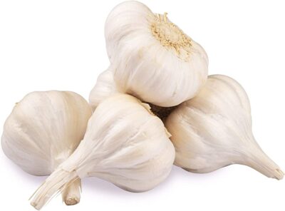 Garlic Image