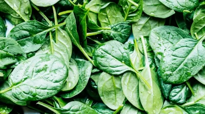 Spinach Image