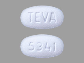 TEVA 5341